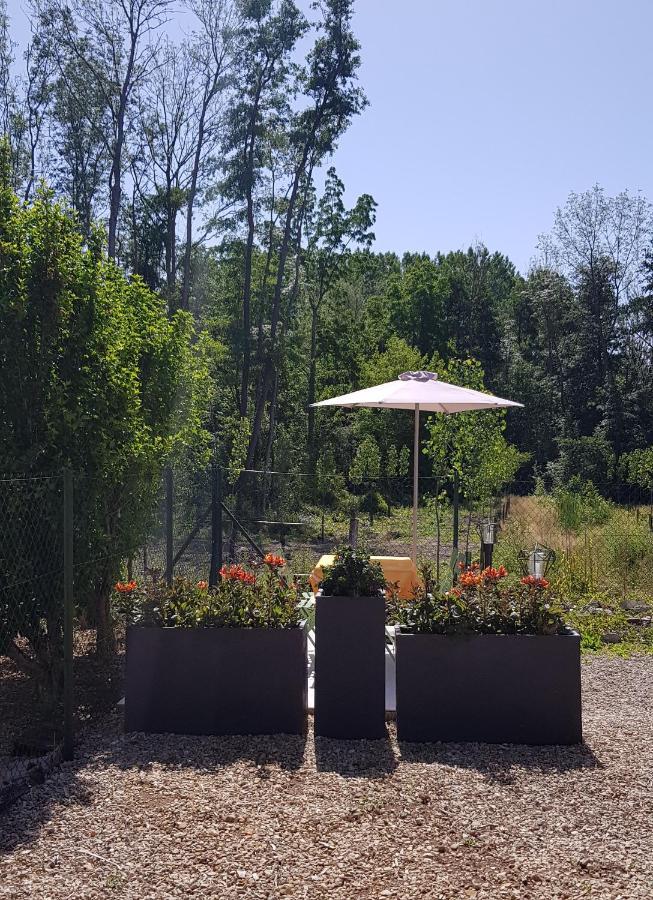 Agreable Petite Maison Proche Joigny Chamvres Exteriér fotografie